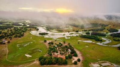 Abenteuer Brasilien: Jaguare und Kaimane - Artenreiches Pantanal