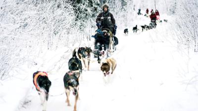 Abenteuer Lappland: Die Husky-Tour des Lebens (1/3)
