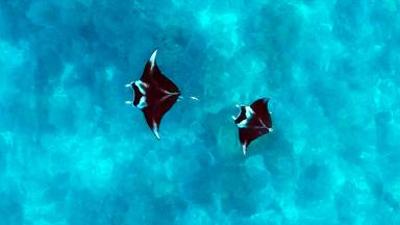 Afrika: Kontinent der Vielfalt: Leben am Wasser