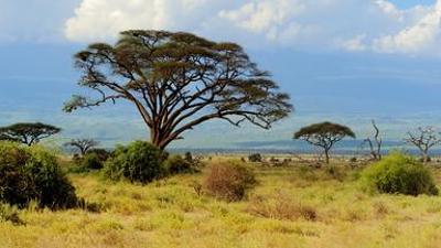Afrika: Kontinent der Vielfalt: Reiches Land