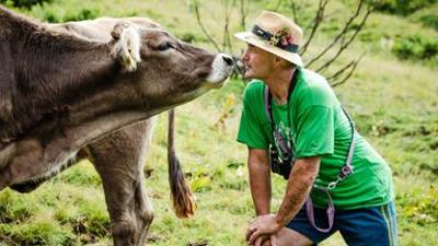 Bergbauernleben: Der Sommer