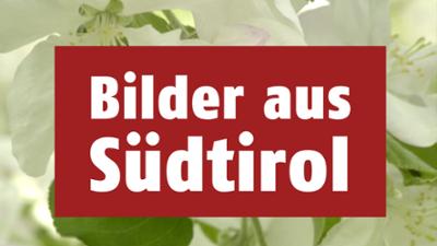 Bilder aus Südtirol: vom 25. Juli 2026