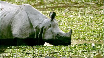 Brahmaputra: (3/3) - Bangladesch - Von der Tiefebene zum Ozean