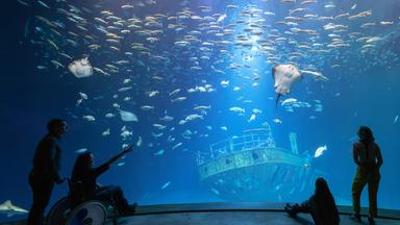da will ich hin!: Stralsund, da will ich hin! da will ich hin!: Stralsund, da will ich hin!