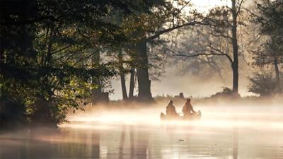 Der Spreewald