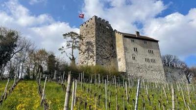 Die Habsburger in Europa: Aus dem Dunkel der Zeit