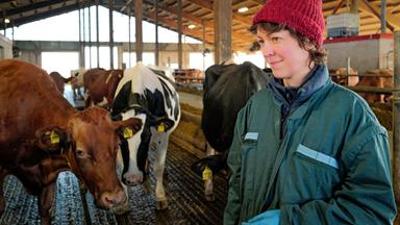 Die Nordreportage: Wenn Kühe Hilfe brauchen