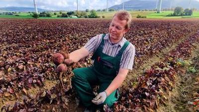 Die Nordreportage: Ackern bis zum Frost