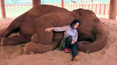 Dokumentarfilmzeit: Thailands Elefantenretterin Dokumentarfilmzeit: Thailands Elefantenretterin