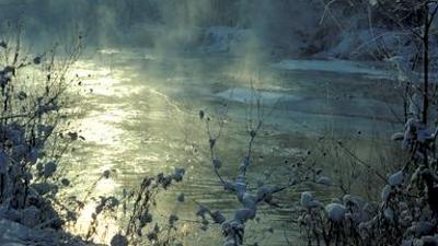 Donau - Lebensader Europas : Donau - Lebensader Europas - Zwischen Flut und Frost
