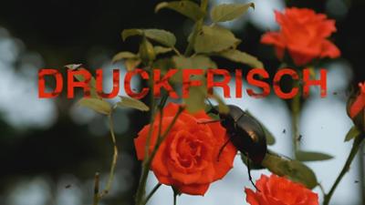 druckfrisch: „Was wir wissen können“, „Das Geschenk“ und „Erzählungen: Band 1 von Franz Kafka“ druckfrisch: „Was wir wissen können“, „Das Geschenk“ und „Erzählungen: Band 1 von Franz Kafka“