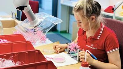 Ein Stern für die Welt