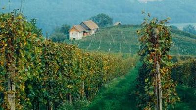 Erlebnisreisen: Österreich – Die Weinstraße der Südsteiermark
