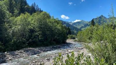 Erlebnisreisen: Österreich - Der Bregenzerwald
