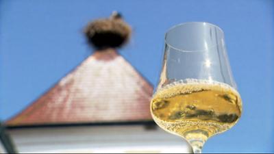 Esskulturen: Vielfalt im Glas - Welschriesling neu entdeckt