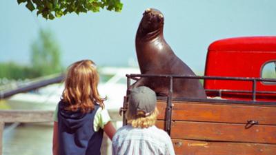 Fernsehfilm: Eine Robbe zum Verlieben