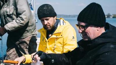 Fisch ahoi!: (4/6) - Grelle Forelle