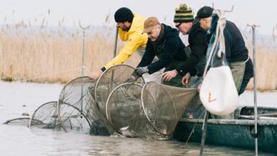 Fisch ahoi!: (1/6) -  Waller & Aal vs. Thunfisch & Makrele