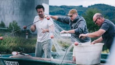 Fisch ahoi!: (6/6) - Nose to Fin