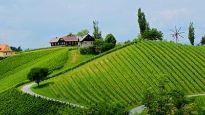 freizeit: Schmidt Max und der Wein-Urlaub in der steirischen Toskana