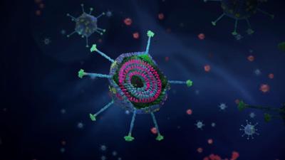 Gute Viren, schlechte Viren