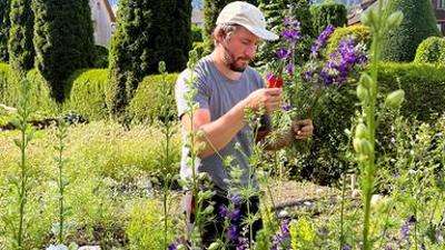 Im Rausch der Blumen: Von Festen und Jahreszeiten