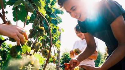 Kochstories: Der kolumbianische Traum von Riesling