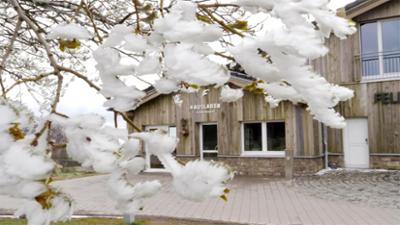 Kochstories: Eine Almhütte für den Feldberg