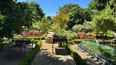 Königliche Gärten: Der Königliche Botanische Garten von Madrid