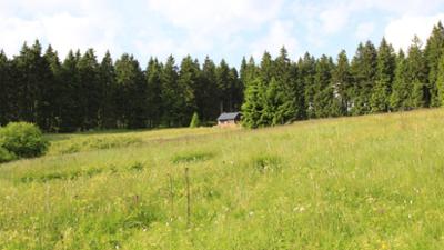Kulturdoku: Der Rennsteig - Erlebnisraum seit dem Mauerfall Kulturdoku: Der Rennsteig - Erlebnisraum seit dem Mauerfall