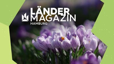 Ländermagazin: Hamburg erwacht – Frühling in der Stadt