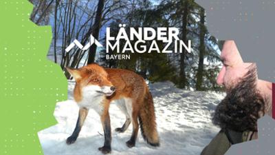 Ländermagazin: Der Woid Woife – Wildtierflüsterer und Waldphilosoph Ländermagazin: Der Woid Woife – Wildtierflüsterer und Waldphilosoph