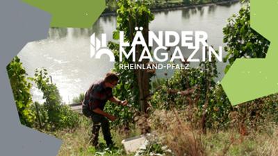 Ländermagazin: Leben am Fluss: Der Rhein