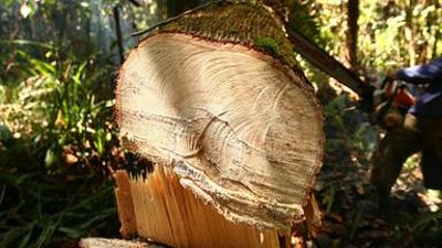 nano: vom 1. April 2021