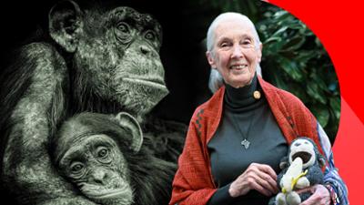 nano: Jane Goodall - ein Leben für den Umweltschutz