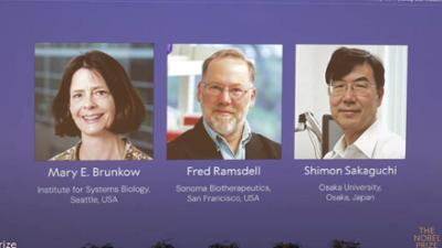 nano: Medizin-Nobelpreis für Immunforschende