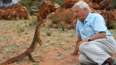 nano: Sir David Attenborough wird 100
