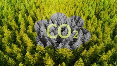 nano: Global Carbon Report: 1,5 Grad-Krise naht – So stoppen wir sie 