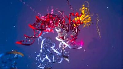 nano: Protein-Revolution - Verborgener Code für Körper und Gesundheit nano: Protein-Revolution - Verborgener Code für Körper und Gesundheit