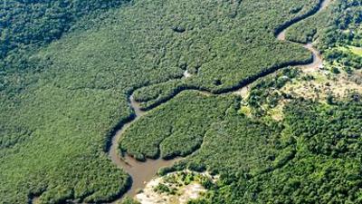 nano: Die grüne Lunge stirbt: Amazonas kippt zur CO2-Quelle nano: Die grüne Lunge stirbt: Amazonas kippt zur CO2-Quelle