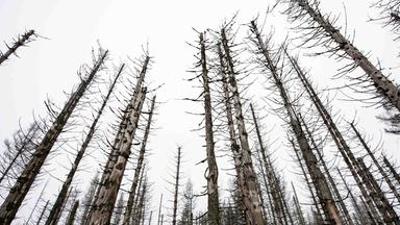 nano: vom 24. Februar 2021