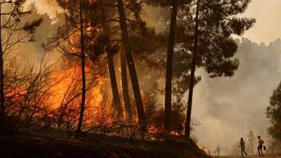 nano: Waldbrand-Report: Feuer wird Alltag – das ist jetzt zu tun! nano: Waldbrand-Report: Feuer wird Alltag – das ist jetzt zu tun!