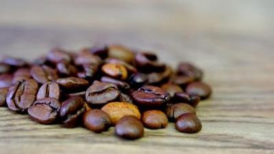 nano: Kaffeerevolution aus der Petrischale - So schmeckt die Zukunft nano: Kaffeerevolution aus der Petrischale - So schmeckt die Zukunft