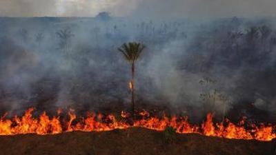 nano: Wie gefährdet ist der Amazonas heute wirklich? | NANO