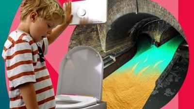 NANO Doku: Flüssiges Gold – Was steckt im Abwasser? | NANO Doku