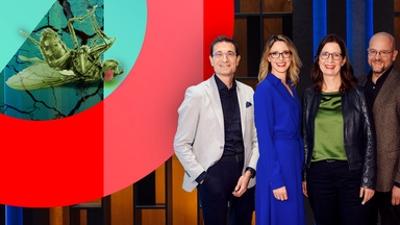 NANO Talk: Das große Artensterben - Wie wir die Vielfalt erhalten können 