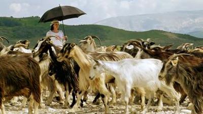 Natur: Wilde Schönheiten: Albanien