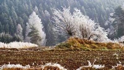 Natur: Waldviertel - Vom Zauber des rauen Landes