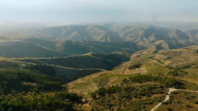 Natur: arks in Portugal (3/4) – Naturpark Douro