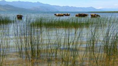 Natur: Ungezähmtes Albanien - Unberührte Wildnis Natur: Ungezähmtes Albanien - Unberührte Wildnis